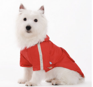 DOGO Red Raincoat